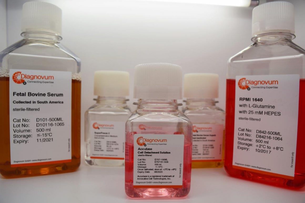 Albumin and Gamma Globulin Genesuz